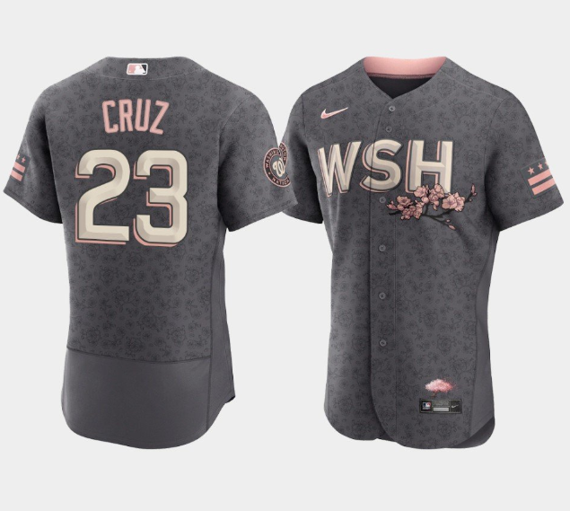 Men's Washington Nationals #23 Nelson Cruz 2022 Grey City Connect Cherry Blossom Flex Base Stitched MLB Jersey